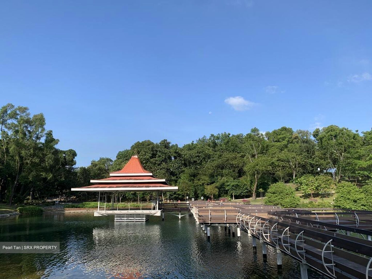Caldecott Hill Estate (D11), Detached #609594881
